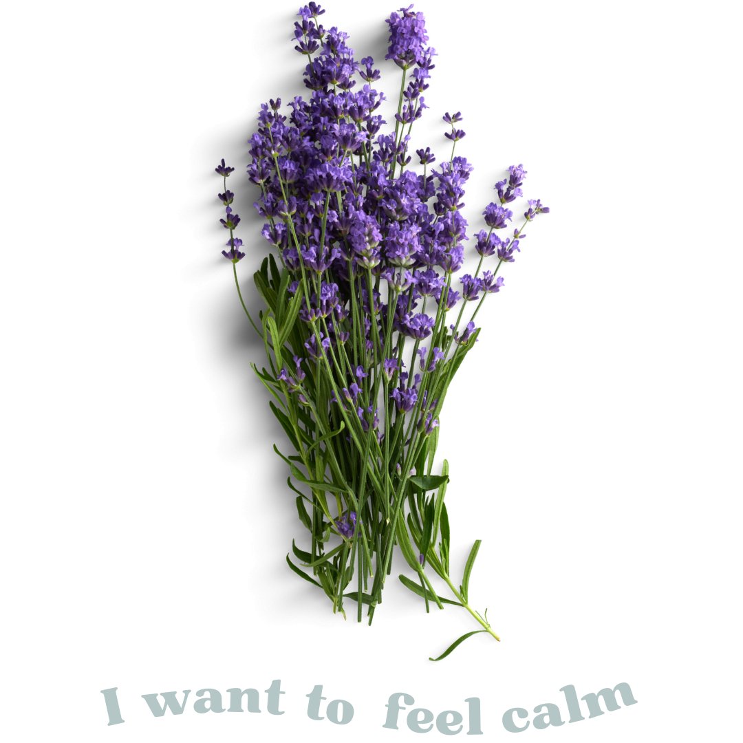 feel calm - Thulisa Naturals